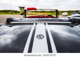 Image result for Porcelain White 1979 MG