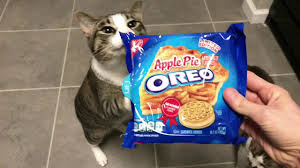 Image result for animals eating oreo