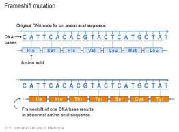 Pin On From The Labs