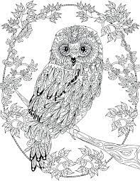 This below coloring sheet dimension is around 600 pixel x 601 pixel with approximate file size for around 154.28 kilobytes. Animal Mandala Coloring Pages Best Coloring Pages For Kids Owl Coloring Pages Detailed Coloring Pages Bird Coloring Pages