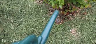 One inch of water on a weekly basis is the minimum amount needed for adequate growth. 10 Smart Watering Tips For Your Vegetable Garden