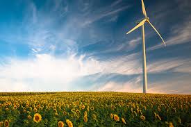 Sunflower fields & photography next year in dear park. Single Wind Turbine Sunflower Field Dawn Dusk Windeurope
