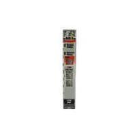 1734-OA2 | Allen Bradley 2 Channel Output Module
