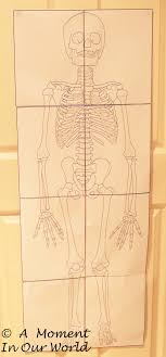There are three main types: Human Body Bones Joints And Muscles Simple Living Creative Learning