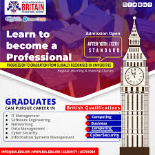 Learn To Become A Professional In 2020 British University Graduation Post Undergraduate