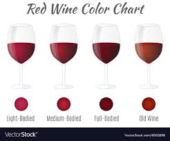 red wine color chart hand drawn wine glasses