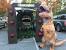 Diy Jurassic Park Trunk Or Treat