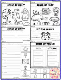 Five Senses Activities 1st Grade Worksheets Worksheets For Kids Senses Activities