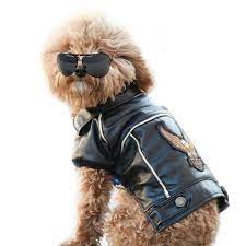 Pu Leather Motorcycle Jacket Dog Puppy Pet Clothes Leather Jacket Watherproof S Amazon Com Pet Supplies Dog Jacket Pet Clothes Dog Winter Coat