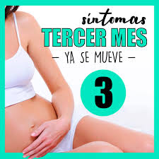Sintomas De Embarazo Mes 3 Cuales Son Y Por Que Pasan