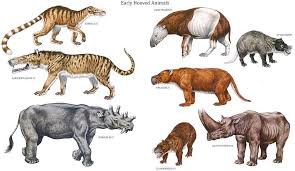 Hooved Animals Prehistoric Animals Extinct Animals Ancient Animals