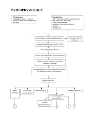  infection with one dengue. Pathophysiology Of Dengue Hemorrhagic Fever