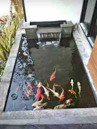 Desain kolam ikan dengan batu alam. Kolam Ikan Minimalis Kolam Halaman Belakang Kolam Ikan Kolam Ikan Koi