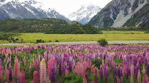 Everything Windows 10 Location Of Win10 Lock Screen Wallpapers After adding '.jpg' to the filenames in that folder, you get a nice picture from windows. location of win10 lock screen wallpapers