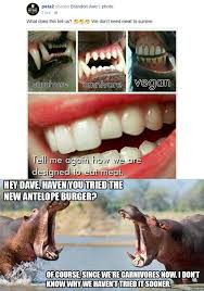 Peta Did It Again Funny Funny Pictures Memes