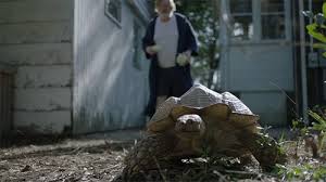 With tenor, maker of gif keyboard, add popular duck for cover animated gifs to your conversations. Mr Mercedes Bill Hodges Trilogy 1 By Stephen King
