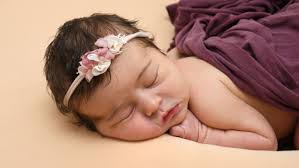 Rostocks süße Wonneproppen