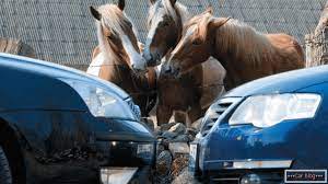 Definitie cal putere (horse power) o definiție alternativă, folosită în ingineria mecanică, pe baza sistemului metric, este forța necesară ridicării unui corp de 75 kg la înălțimea de un metru, în timpul de o secundă, ceea ce se traduce cu o kw in cp was last modified: Transformarea KilowaÈ›ilor In Cai Putere