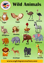 20 Wild Animals Name 20 Different Animals And Example Sentences English Grammar Here