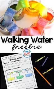 Walking Water Science Activity For Kids Science Activities For Kids Elementary Science Preschool Science