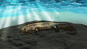 Image result for Osyridicarpos