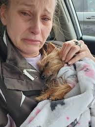 Loss of Pet Dog Due to Kidney Failure