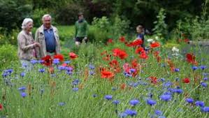 Liebe gartenfreunde, wir arbeiten derzeit unter hochdruck daran, alle gärten online zu schalten. Tag Des Offenen Gartens 2019 Im Landkreis Gottingen Gottingen