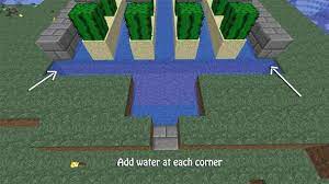 However, mining cacti no longer harms the player as of this patch, so the player can gather cactus blocks more quickly through ordinary mining. Creating Killer Cacti How To Make A Cactus Farm In Minecraft Minecraft Wonderhowto