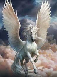 History  edit source pegasus, along with his brother chrysaor, was born from the neck of medusa after she was beheaded by neptune's son, perseus. 54 Best Pegasus Drawing Ideas Pegasus Drawing Pegasus Pegasus Art