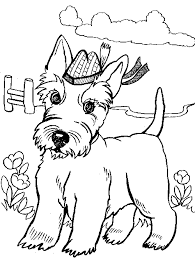 Pictures of scottish terrier coloring pages and many more. Pin On Coloring Pages