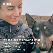 Dog owners have been warned to avoid some beaches