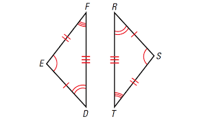 نتیجه جستجوی لغت [congruence] در گوگل