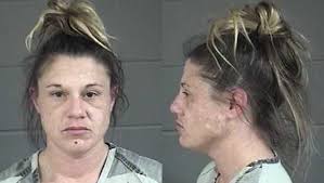 Police confiscate 351 grams of meth in drug bust