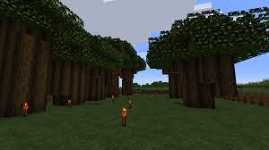 Renamed roofed oak to dark oak. Why Won T Dark Oak Saplings Grow Discussion Minecraft Java Edition Minecraft Forum Minecraft Forum