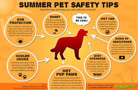 30 Infographics That Can Save Your Pet Pet Safety Tips Free Printable Pet Emergency Sticker - The Cottage Mar Pet Safety Safety Infographic Pet Emergency