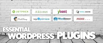 20 Best Wordpress Plugins 2019 Essential For Professional