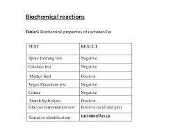 Bergeys Manual Bacteria Chart