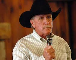 Ivanhoe residents debate incorporation