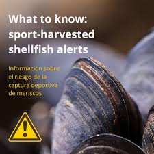 Image result for Paralytic Shellfish Poisoning