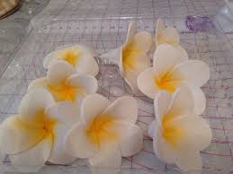 Pin On Hawaiian Cakes