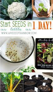 How To Germinate Seeds 3x Faster What Not To Do Seeds Vegetable Seed Veg Garden