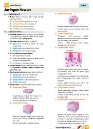 Check spelling or type a new query. Jaringan Hewan Bio 2 A Pendahuluan B Jaringan Epitel Jaringan Hewan Materi78 Co Nr 3 Epitel Kubus Selapis