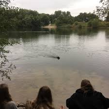 De brereton heath local nature reserve. Photos At Brereton Heath Local Nature Reserve 2 Tips From 50 Visitors