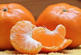 China & bahasa mandarin mengagumkan! Anim Agro Technology Jenis Jenis Limau Mandarin Part 1