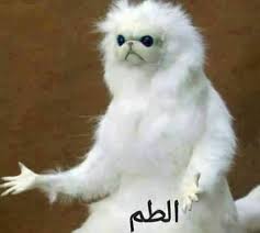 Pin By Zainab B On Reaction Funny Reaction Pictures Funny Picture Jokes Funny Photo Memes