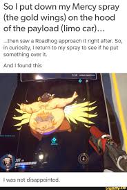 This Is The Reason Why I Keep Her Wings Spray As One Of My Four At All Times Same Man The Results Are The Best Overwatch Funny Overwatch Overwatch Comic