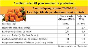 Pourquoi Le Maroc Jette Ses Oranges L Economiste
