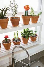 Otro de los lugares preferidos para decorar tu casa son las ventanas sobre todo las de la cocina que suelen ser una de las más iluminadas. 30 Ideas Para Decorar Con Cactus Y Terrarios Jardines De Hierbas Para Cocinar Plantas Para Cocina Plantas De Interior