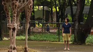 Watch Postcards from the Zoo