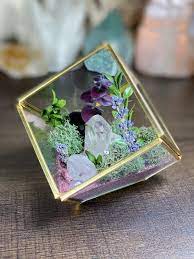 Crystal Garden Terrarium Kit Fairy Crystal Garden Zen Garden Etsy Crystal Garden Crystal Garden Terrarium Zen Garden